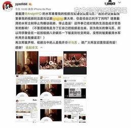 吃瓜小群众完整视频,一场全民参与的娱乐盛宴