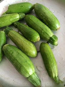 小角瓜酱怎么吃视频,小角瓜酱的多彩食法揭秘