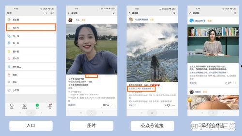 吃瓜大姐微信视频号,揭秘娱乐圈幕后故事